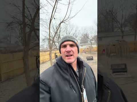 Will you do a shingle layover?